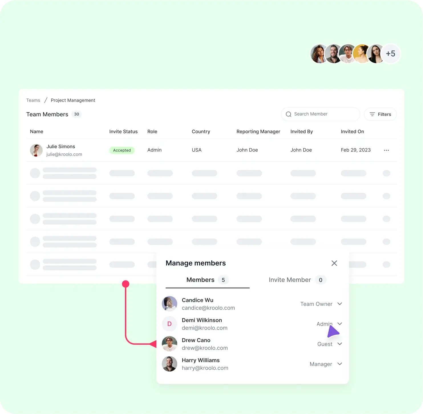 TEAM ROLES
